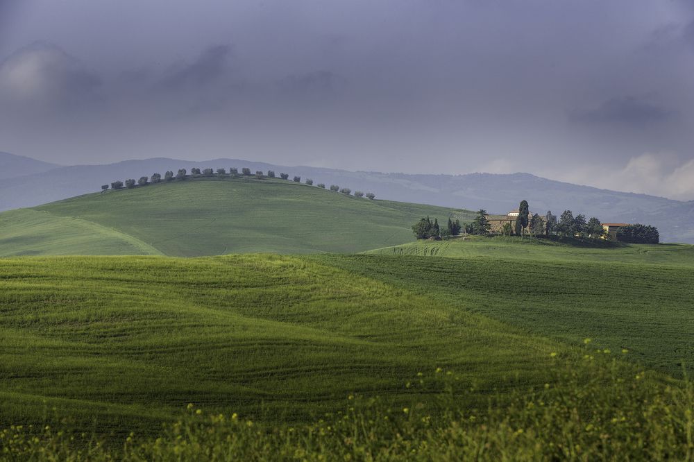 Photograph by Bassem El youssef