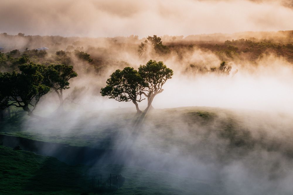 Photograph by Vitalis Vasylius