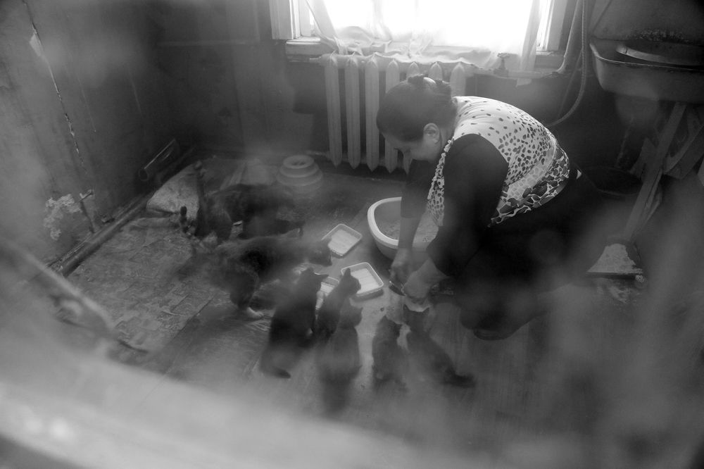 Photograph by Виктория Мясникова