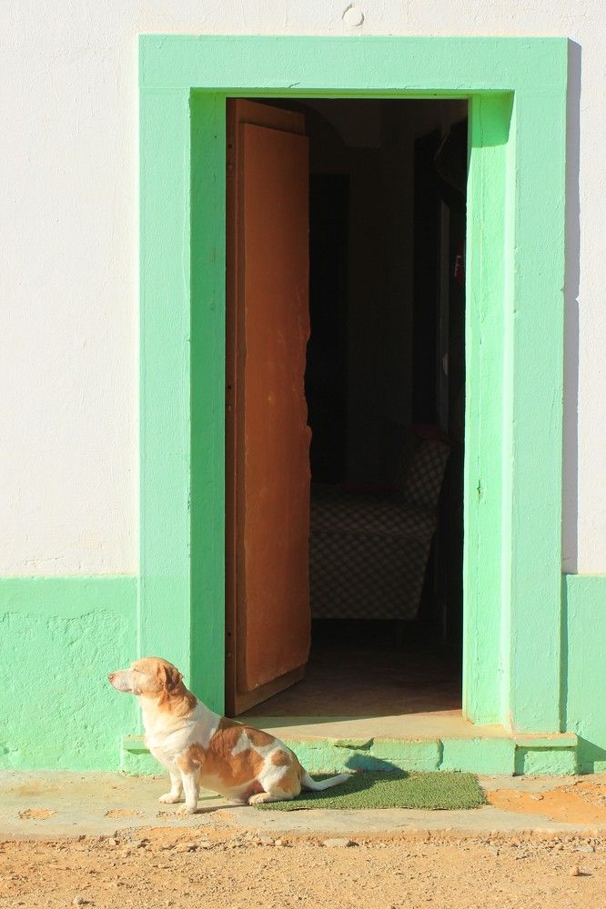 Photograph by Marcin Janocha