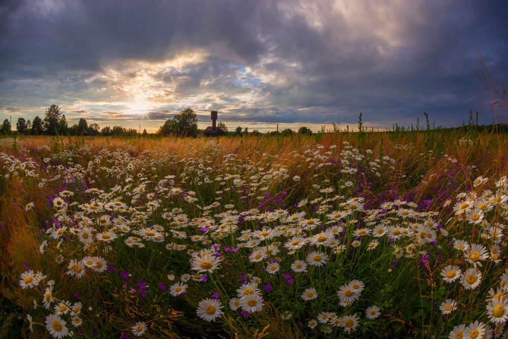 Photograph by Марина Мурашова