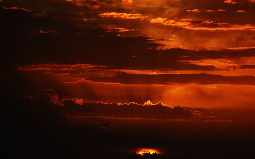 Photograph by Lourdes Cajigal