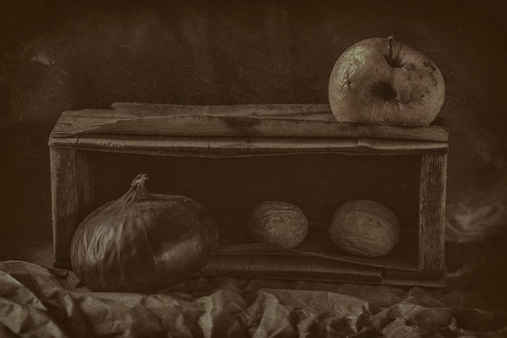 Фотография автора Дмитрий Андрианов