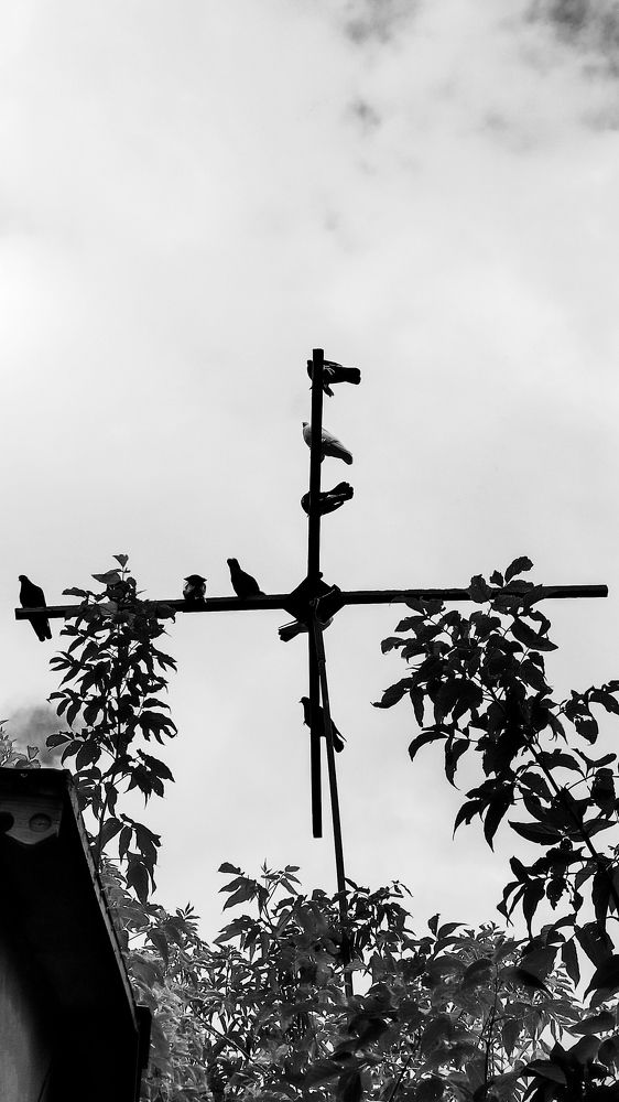 Photograph by Сергей Прохоров