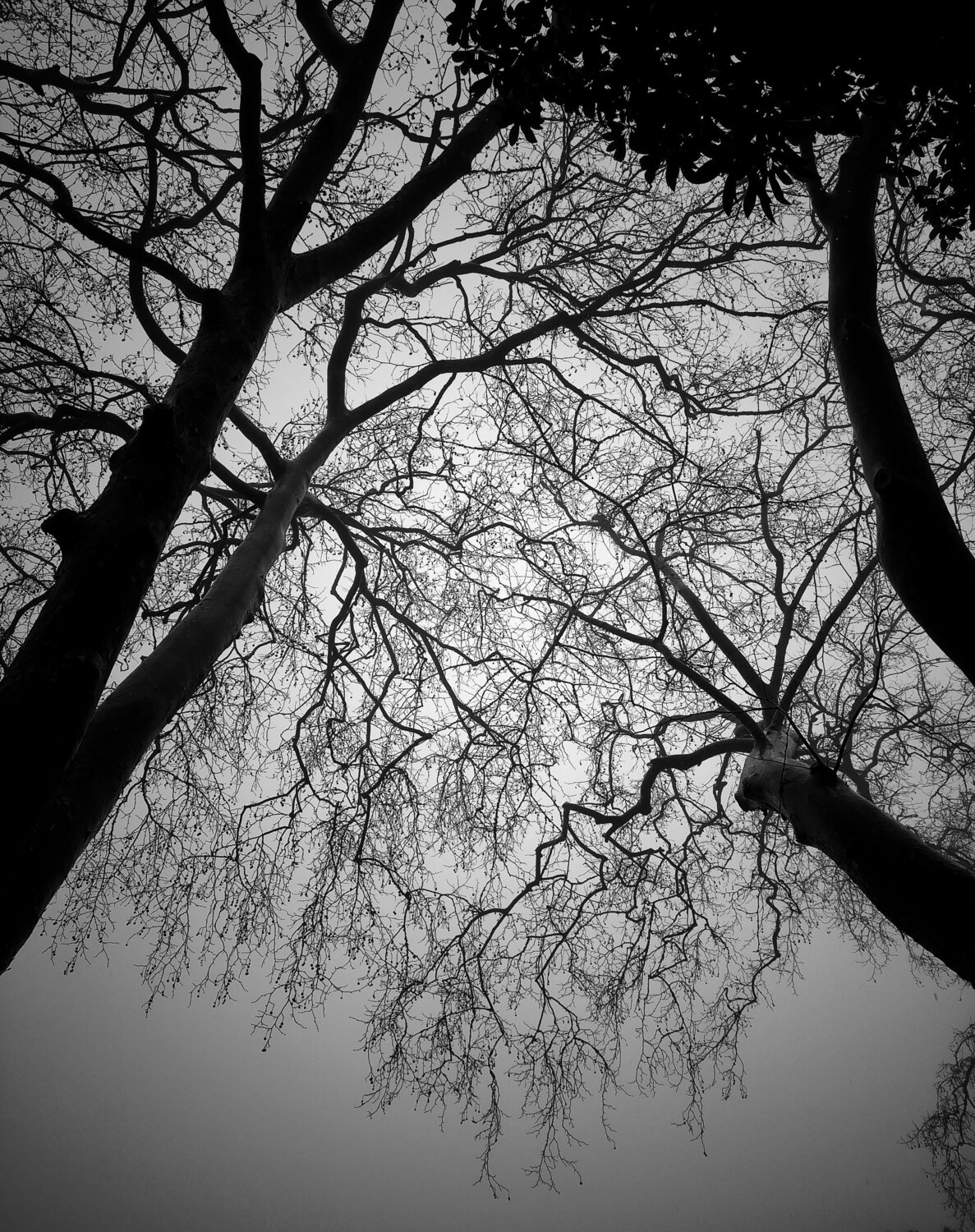 Photo #5714704