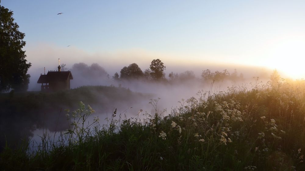 Солнечное утро.