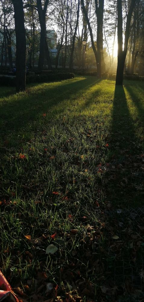 Photograph by Сергей Салманов