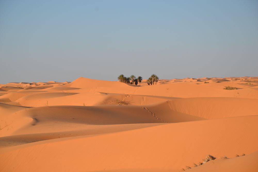 Photograph by Mourad Yahiaoui