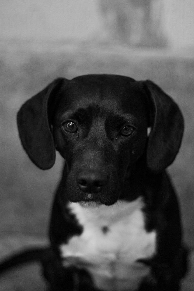 Photograph by Сергей Прохоров