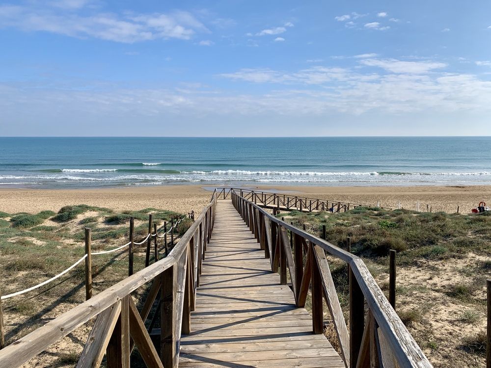 Just a few steps to happiness