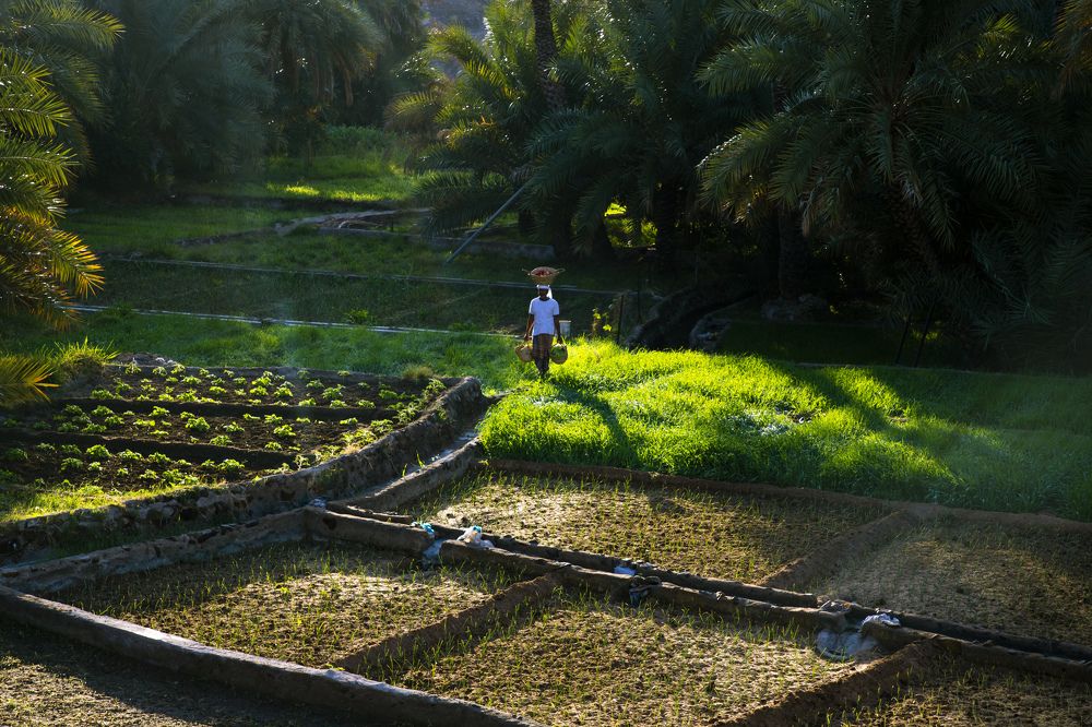 Photograph by غيث البطاشي