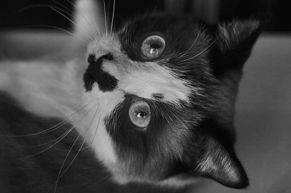 Photograph by Сергей Прохоров