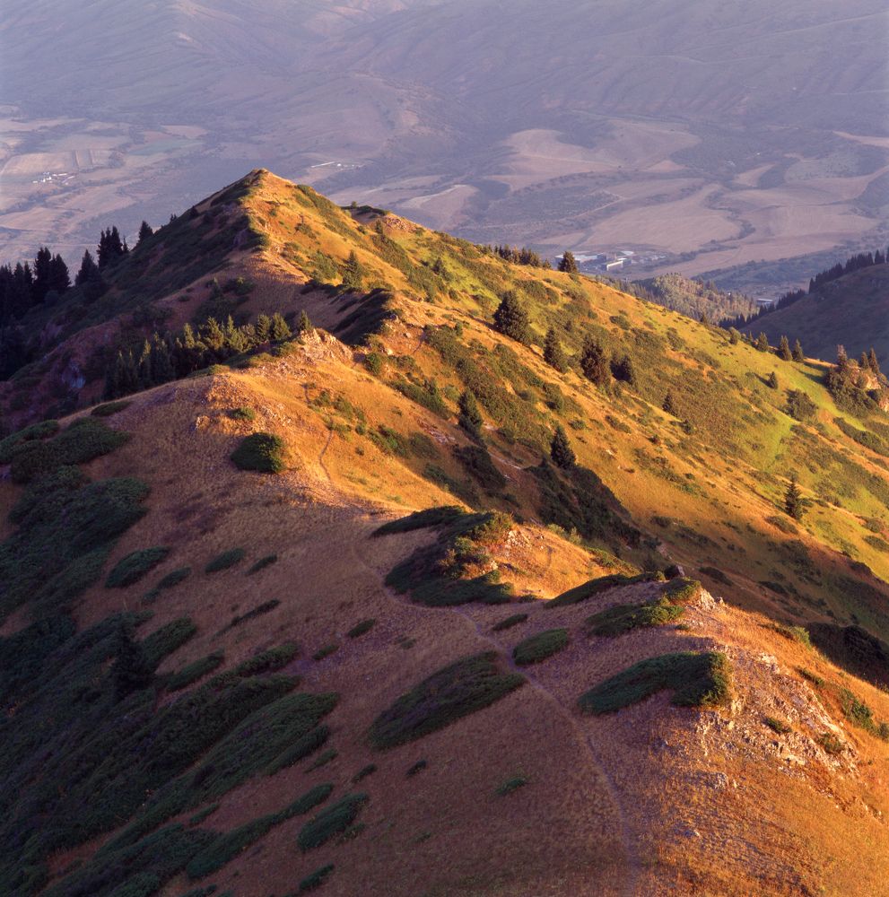 Photograph by Валерий Егоров