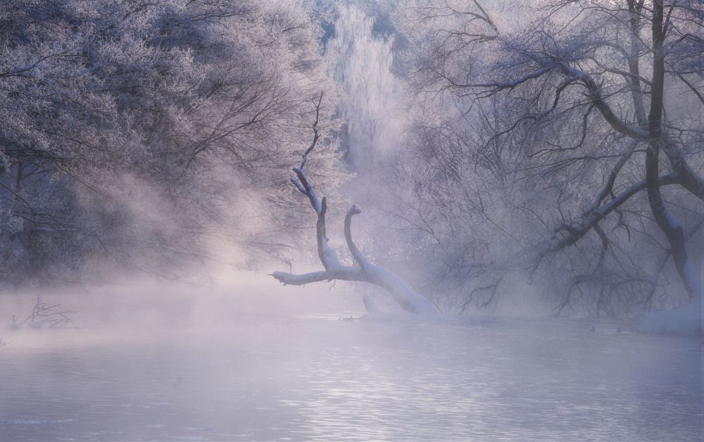 Photograph by Andrey Kozlov