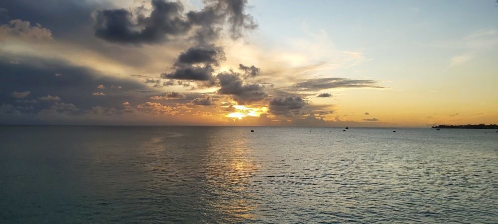 Photo #5715199