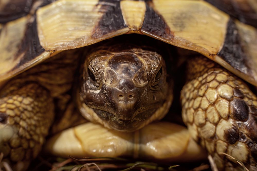 Photograph by Marina Charkina