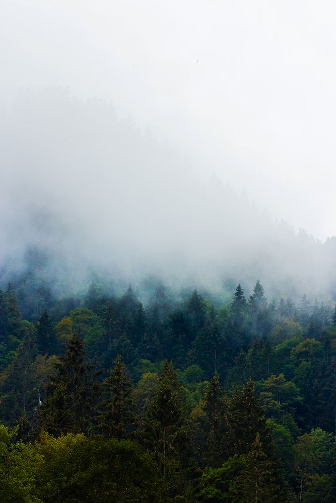 The beauty of the Oeschinensee