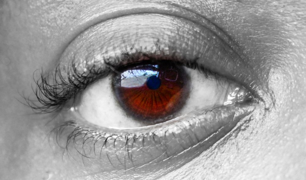 Black and white skin vs brown eye