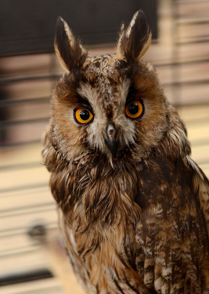 Photograph by Svetlana Popova