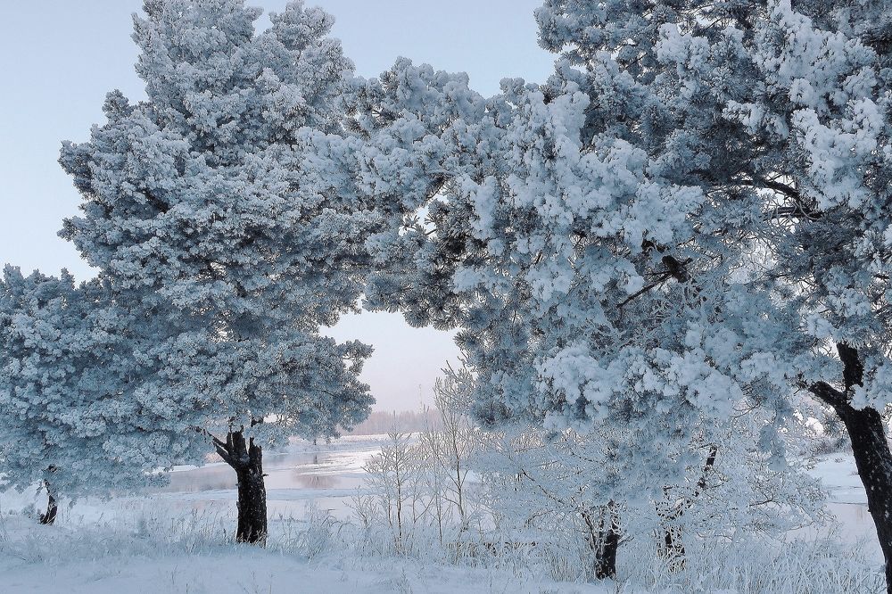 Зимний пейзаж на реке Клязьма.