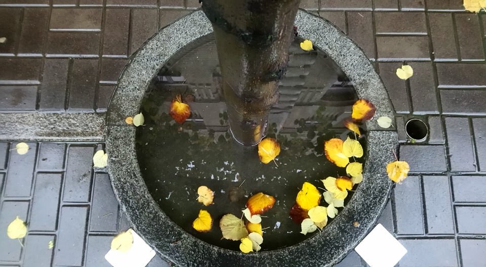Photo #5715322