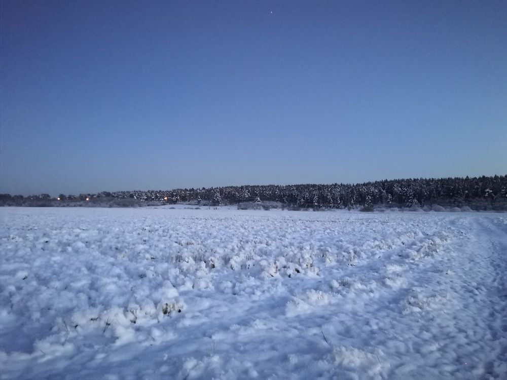 Снежная тишина