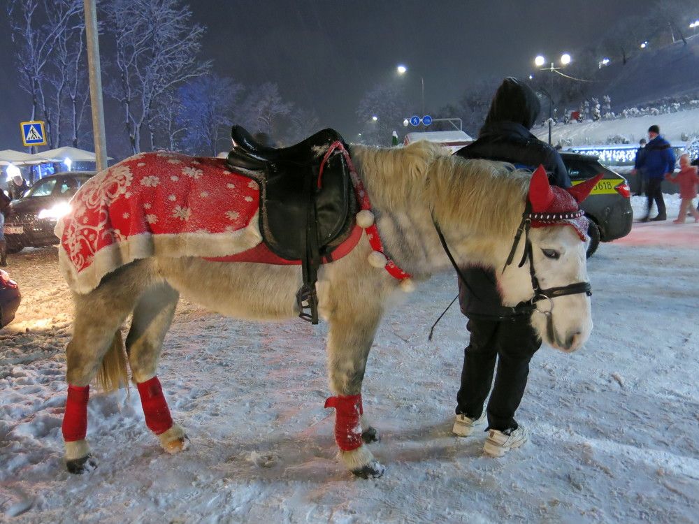 Photograph by ЭЛЬМИРА  ИСМАИЛОВА