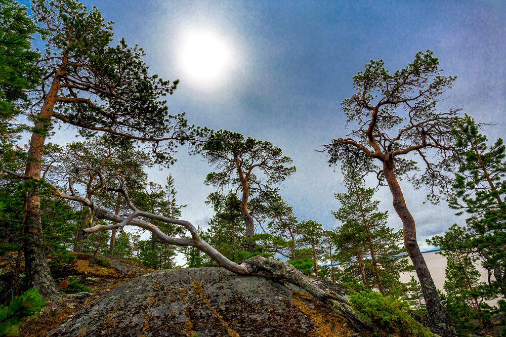 Photograph by Валентин Кузьмин