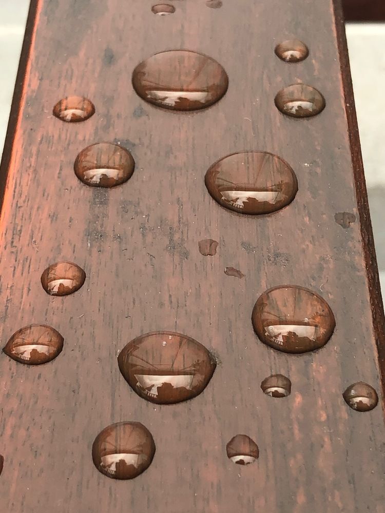 Photograph by Jozsef Cselenyi