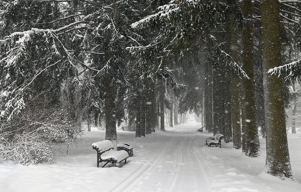 Photograph by Ольга