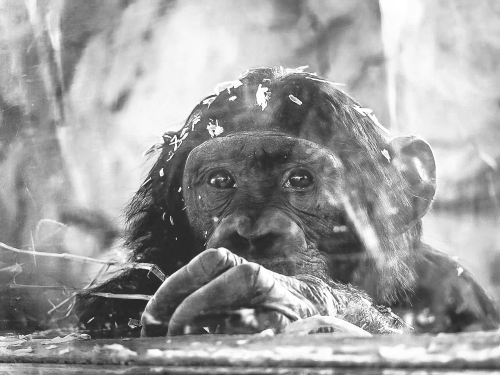 Photograph by Никита Ермаков