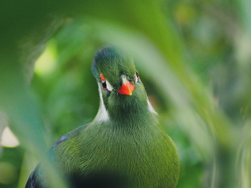 Photograph by Никита Ермаков