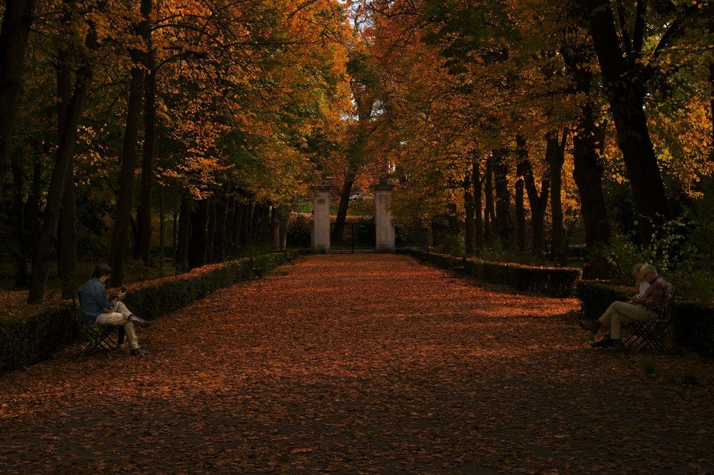 Photograph by Javi Estrade