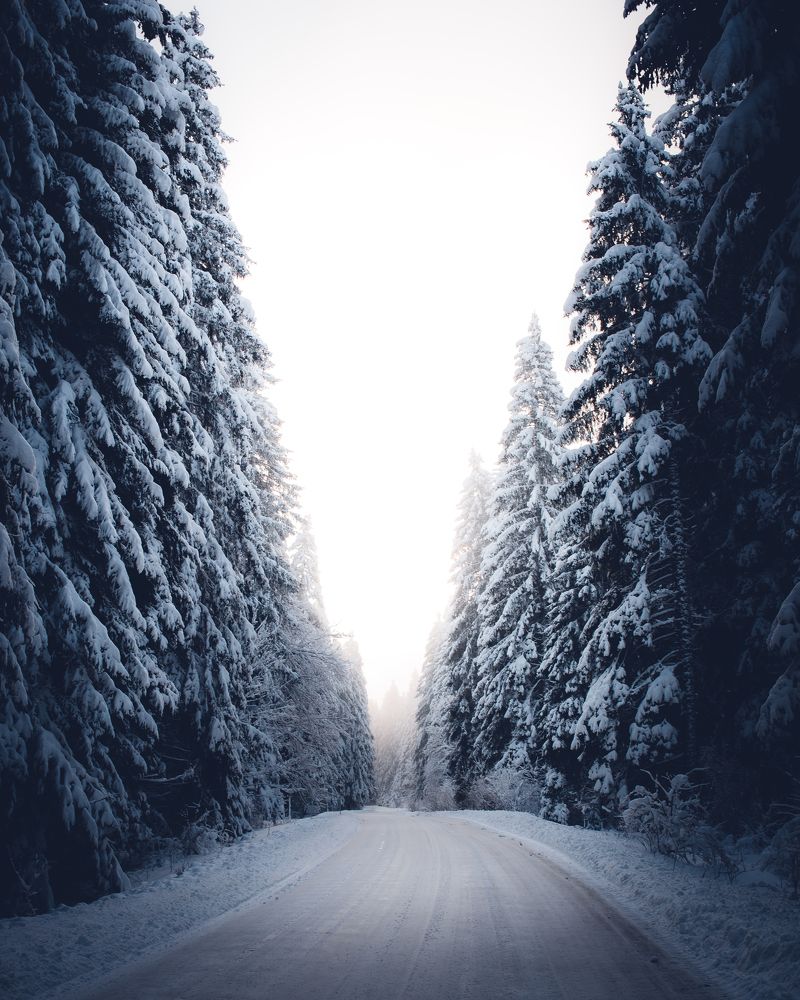 Фотография автора Kristijan Males