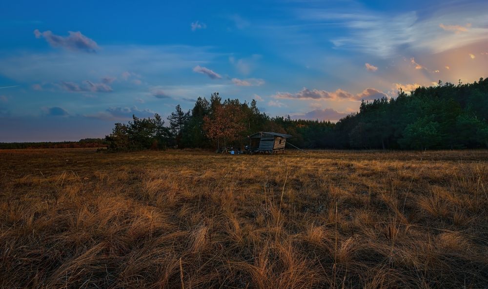 Photograph by Александр Алифанов