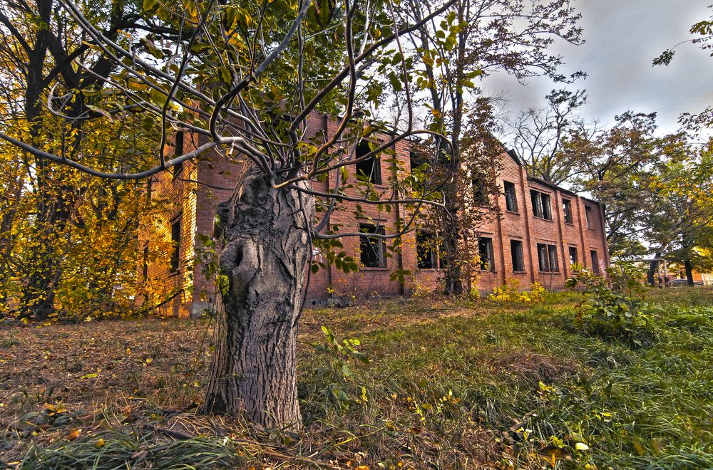 Photograph by Андрей Уколов