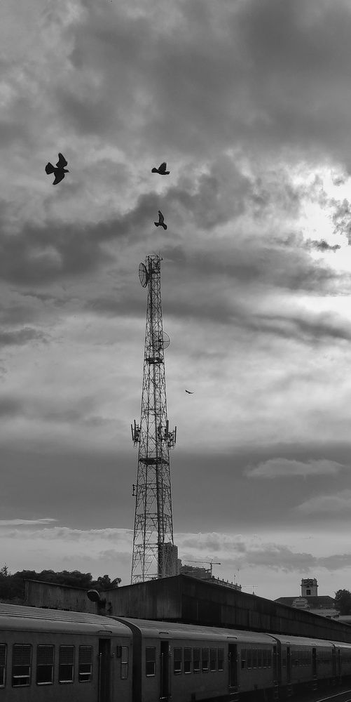 The journey of the three