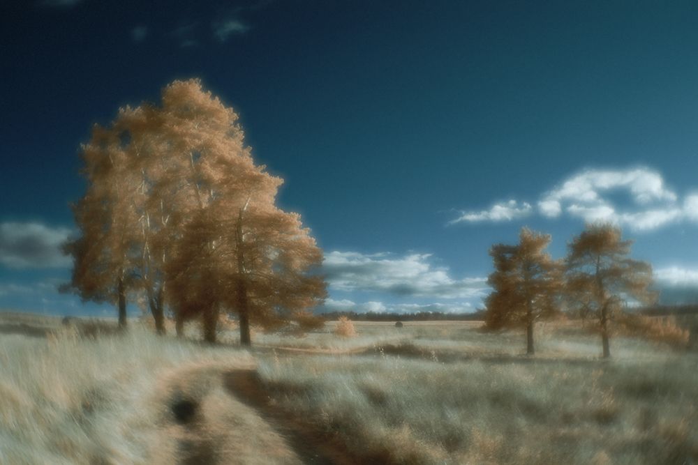 Фотография автора Дмитрий Андрианов