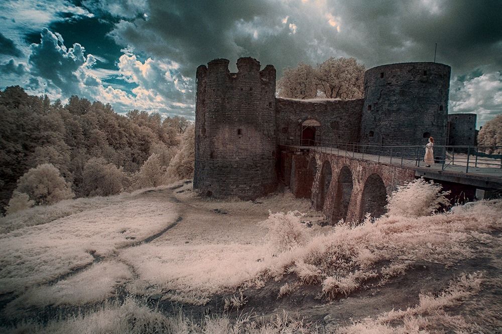 Фотография автора Дмитрий Андрианов