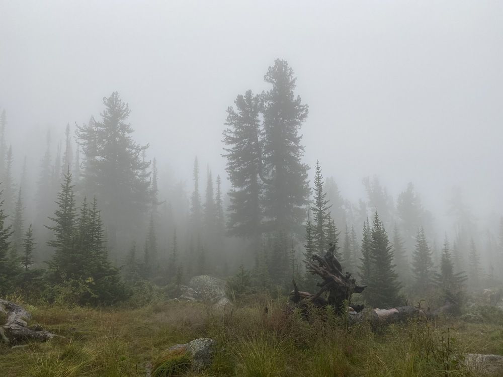 Фотография автора Шутенкова Евгения