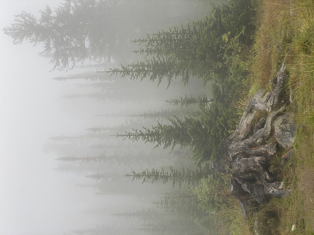 Фотография автора Шутенкова Евгения