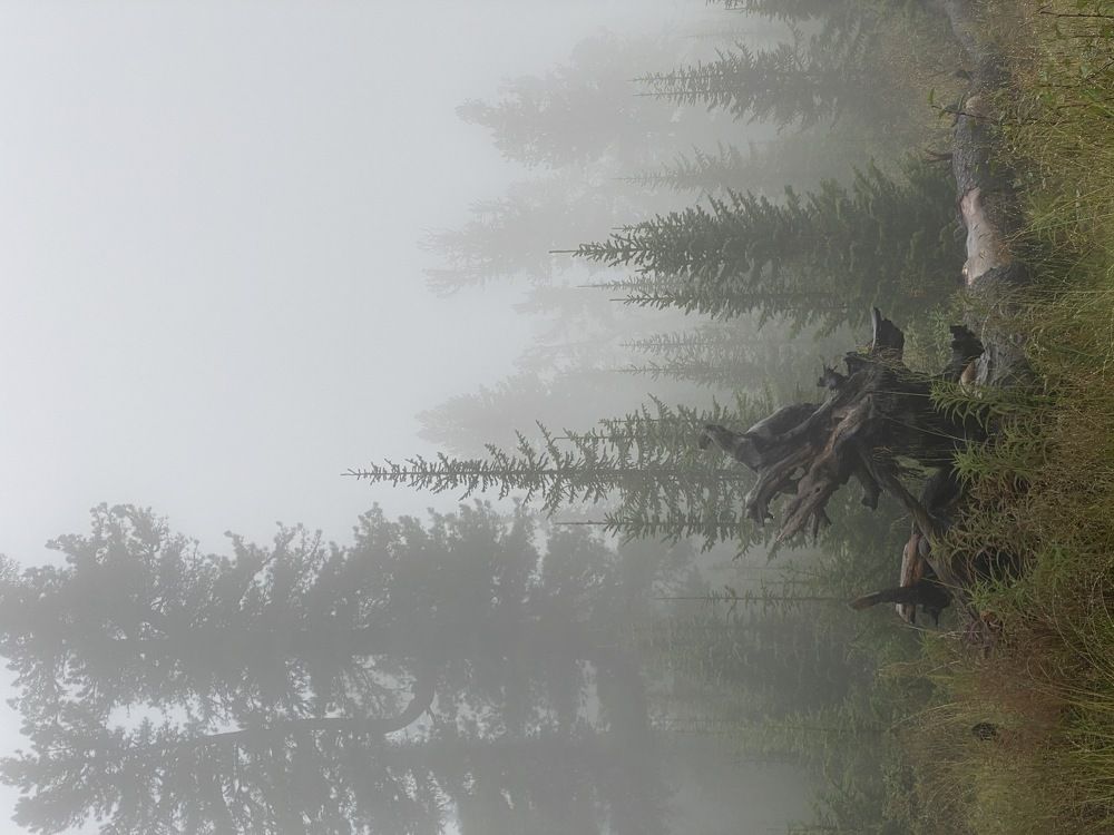 Фотография автора Шутенкова Евгения
