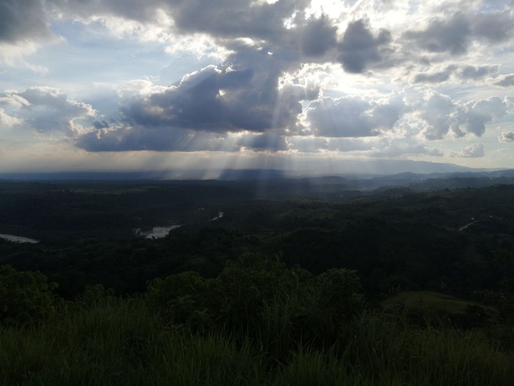 Photo #5715837