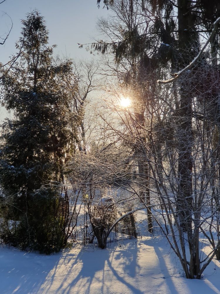 снежное солнце