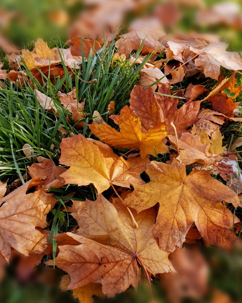 Photograph by Юлия Ледовская