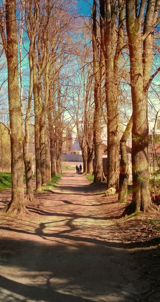 Фотография автора Виктор Крючков