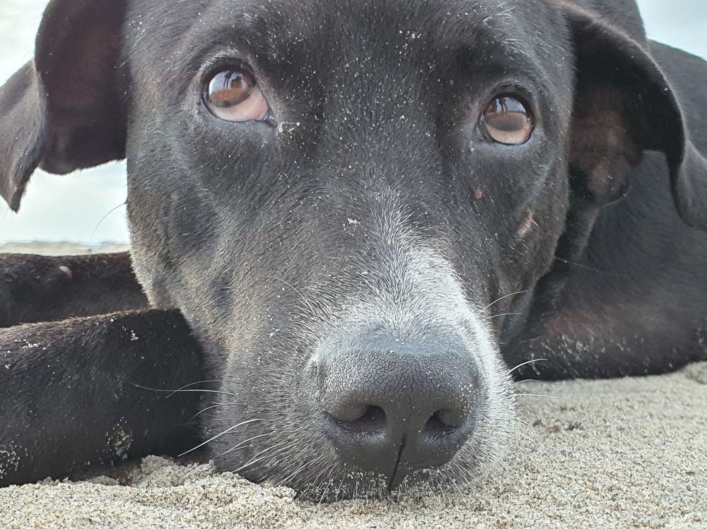 Photograph by Елена Каменецких