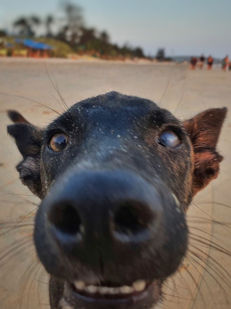 Photograph by Елена Каменецких