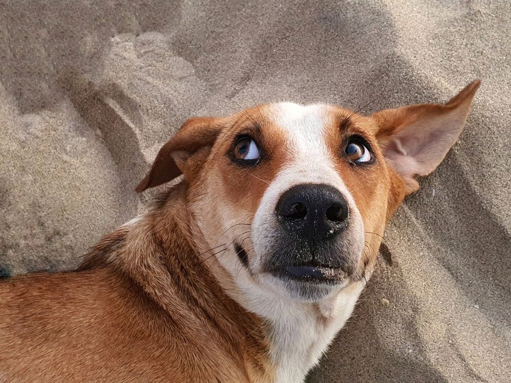 Photograph by Елена Каменецких