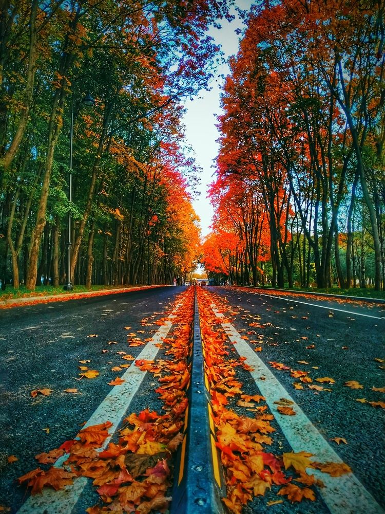 Что такое осень...!?